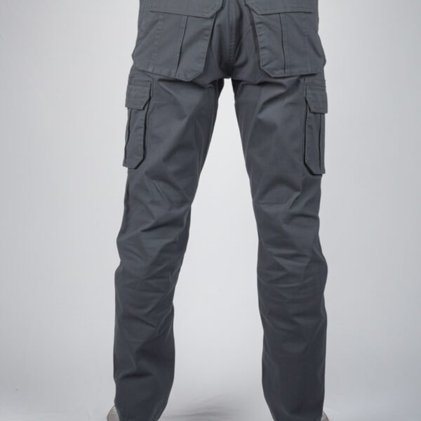 Deep Ash Cargo pant